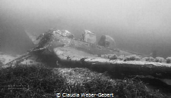 stuka bomber wreck in Croatia
JU 87 R-2 by Claudia Weber-Gebert 